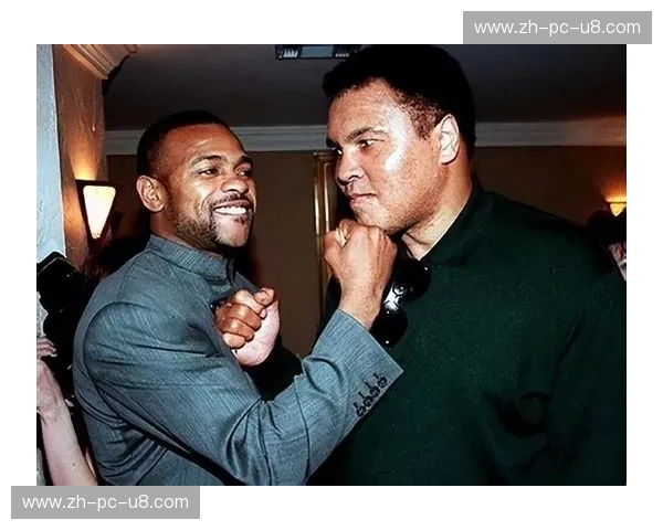 巅峰对决：霍普金斯与罗伊琼斯的传奇之战，一段不朽的拳击史诗